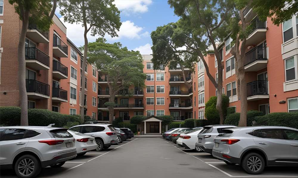 Movers North Park: Your Guide to Parking & Walk-Up Apartments